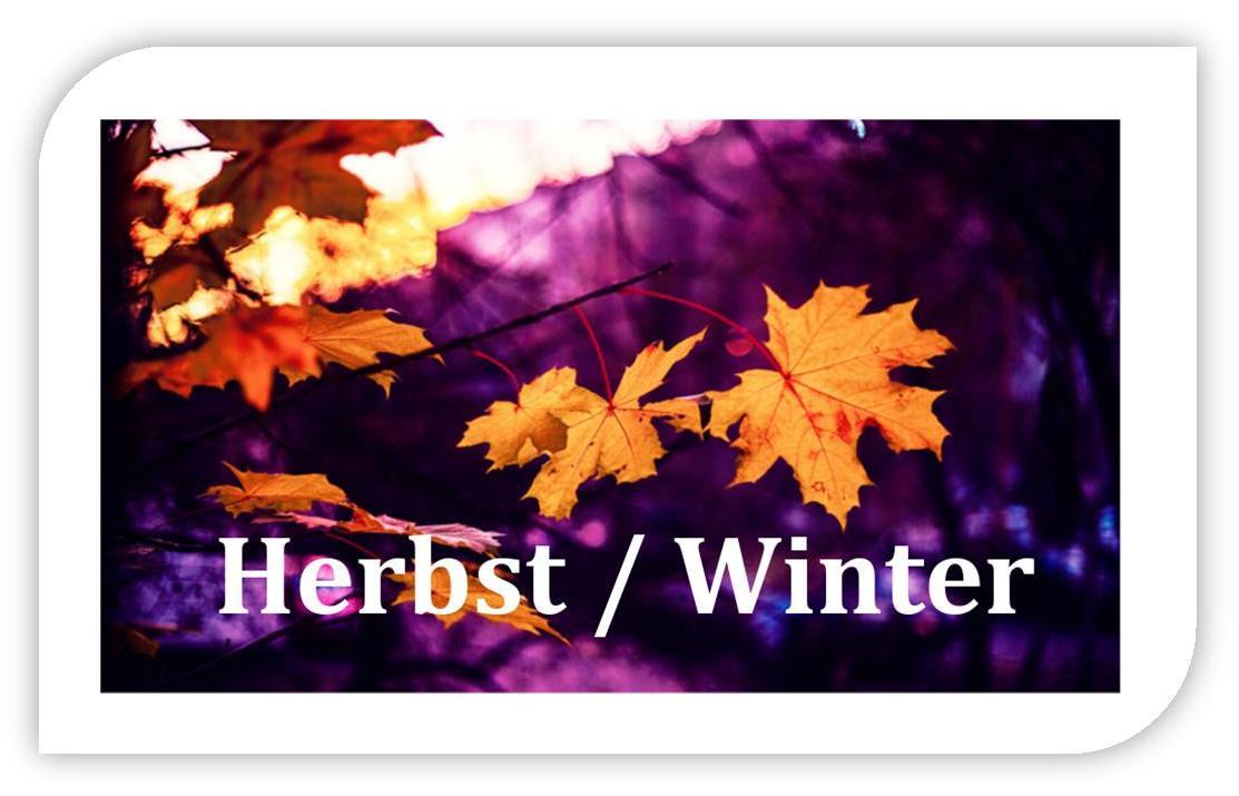 Herbst-Winter_a